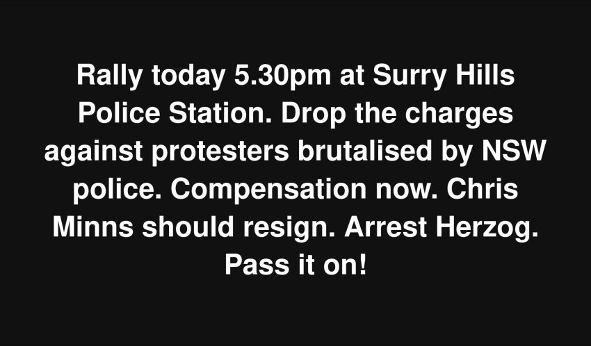 Artwork and graphic for event Snap action: Drop the charges! Drop the Premier! Arrest Herzog! 5:30pm 10/02/2026 Surry Hills Police Station, 151-241 Goulburn St, Surry Hills NSW 2010