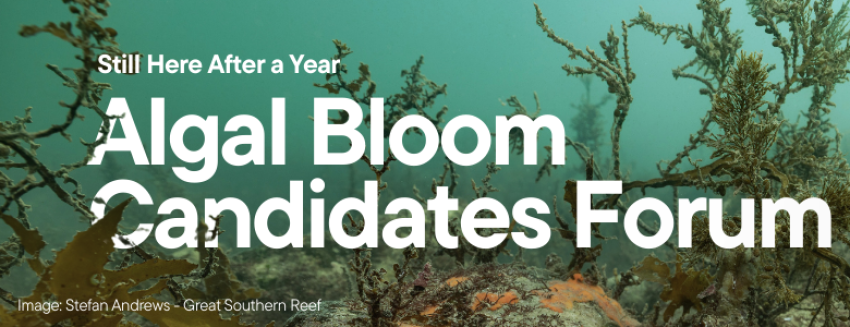Artwork and graphic for event Algal Bloom Candidates Forum, 6:00pm - 7:30pm 04/03/2026 Adelaide Convention Centre - North Terrace Adelaide, SA 5000