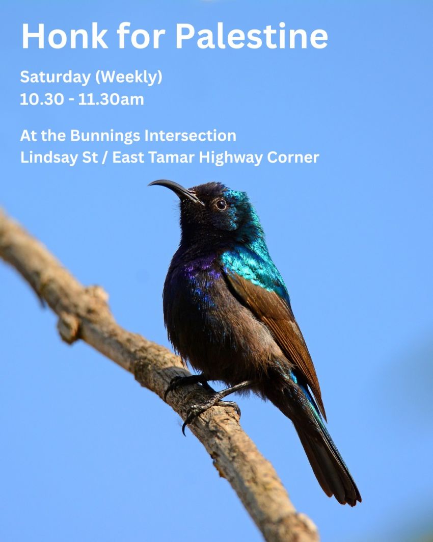 Artwork and graphic for weekly event Honk for Palestine, 10:30am-11:30m each Saturday at the Bunnings intersection, Lindsay St & East Tamar Highway corner