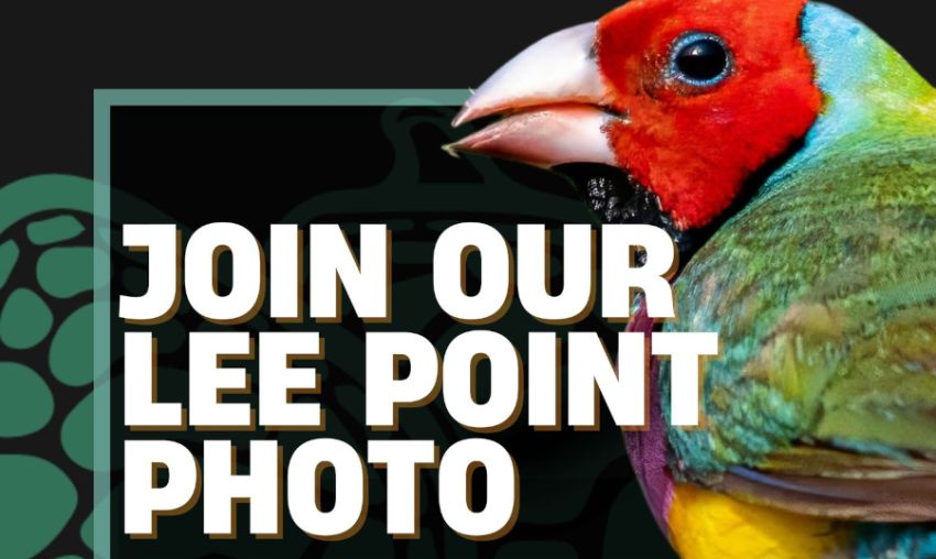 Artwork and graphic for event Join our Lee Point Photo, 7:30am 20/02/2026 The Met Building, CASCOM Building 5, 13-17 Scaturchio Street Casuarina NT 0811