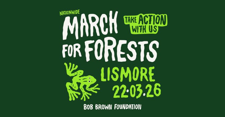 Artwork and graphic for event March in March for Forests – Lismore, Bundjalung Country, 10am 22/03/2026 The Quad, 110 Magellan St, Lismore NSW 2480