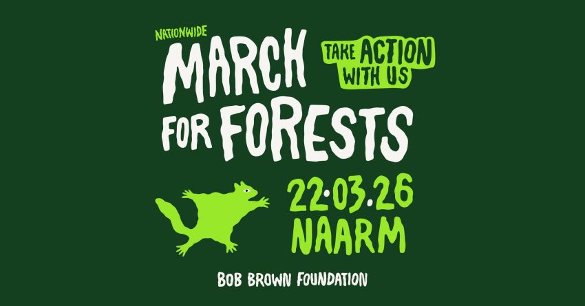 Artwork and graphic for event March in March for Forests – Naarm, 11am 22/03/2026 Parliament Gardens, 489/531 Albert St, East Melbourne VIC 3002