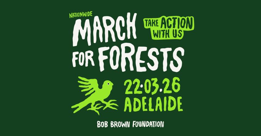 Artwork and graphic for March For Forests - Tarntanya, 12pm 22/03/2026 Tarntanyangga to Parliament House, Tarntanya SA 5000
