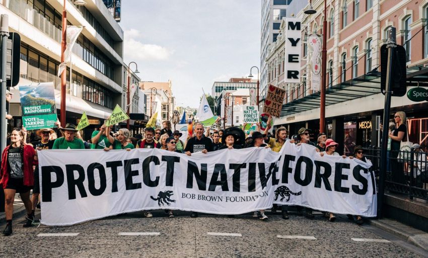 March in March for Forests in Nipaluna, photo by Andy