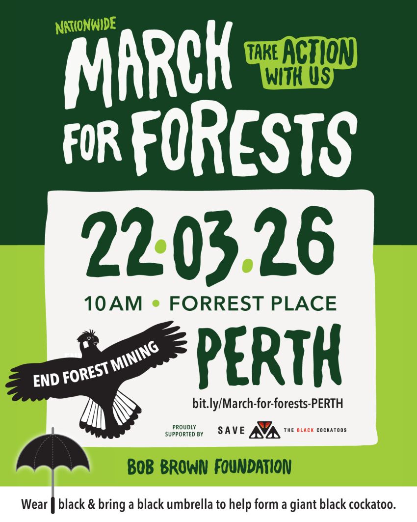Artwork and graphic for event Help Make a Giant Black Cockatoo at March in March for Forests - Boorloo, Forrest Place, Forrest Pl Perth WA 6000