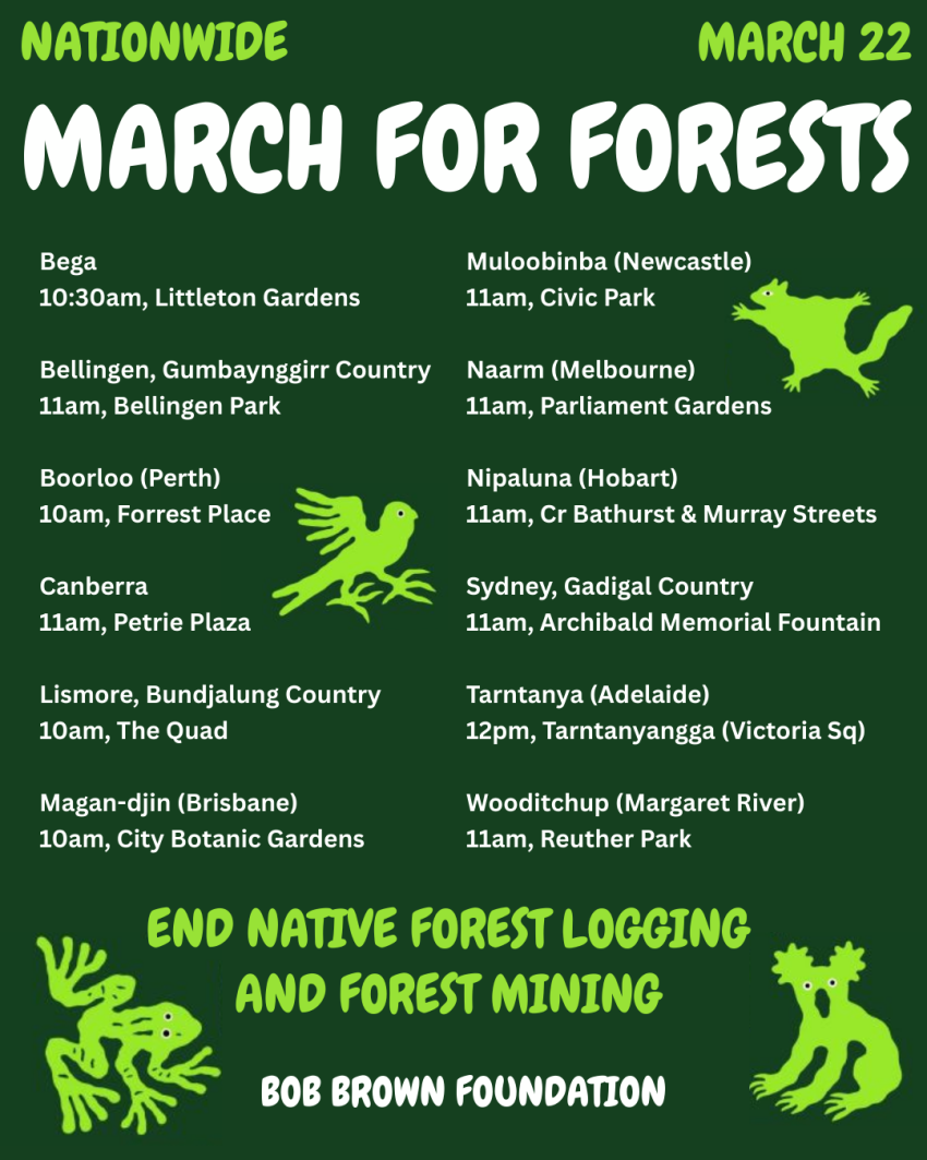 nationwide march forest forests on march 22 details from various cities 