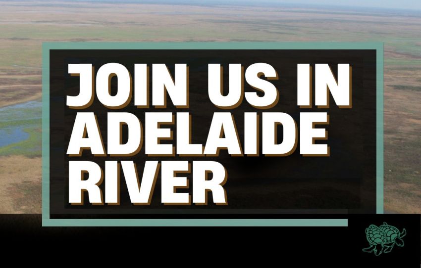 Artwork and graphic for Enviro Centre NT catch-up, 6pm 10/03/2026 303. BAR Adelaide River Inn, 12 Dogherty St, Adelaide River NT 0846