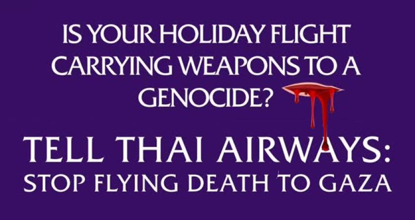Artwork and graphic that says Tell Thai Airways to stop flying death to Gaza