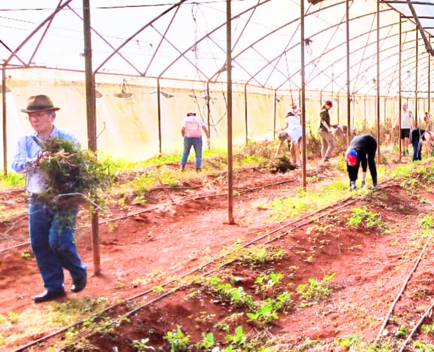 people inside a growhouse