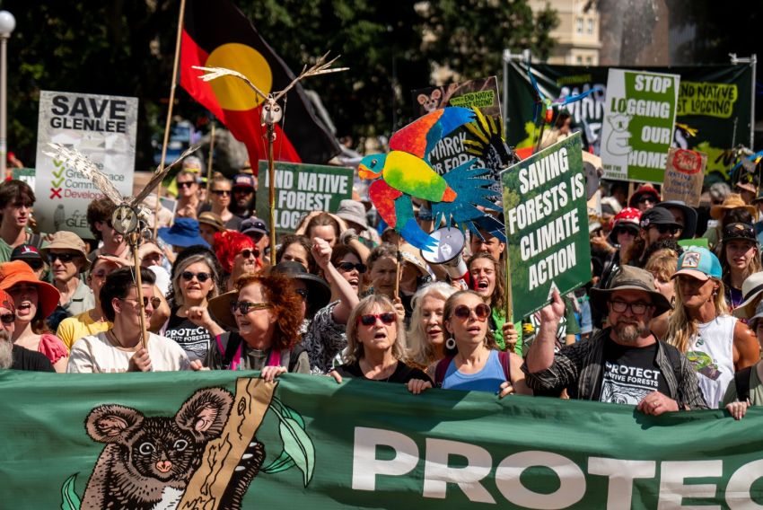 forest rally in sydney
