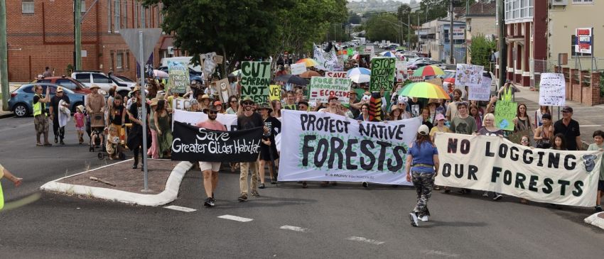 marching for forests in lismore