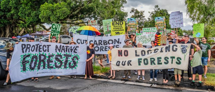 lismore forest rally andrew sooby