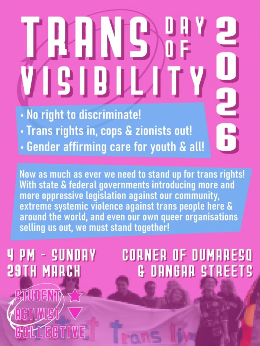 Artwork and poster for event Trans Day of Visibility 2026 – Armidale, 4pm 29/03/2026 Civic Park, Dumaresq St & Dangar St, Armidale, NSW 2350