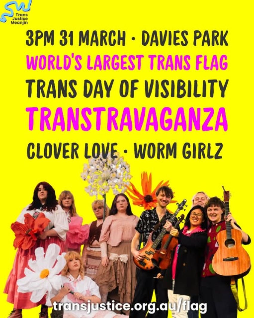 Trans Day of Visibility - help display the world's largest trans flag
