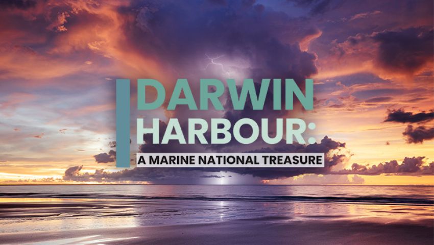 Artwork and graphic for event Darwin Harbour: A Marine National Treasure, 6pm 16/04/2026 AANT Centre, 93 Mitchell St, Darwin City NT 0800