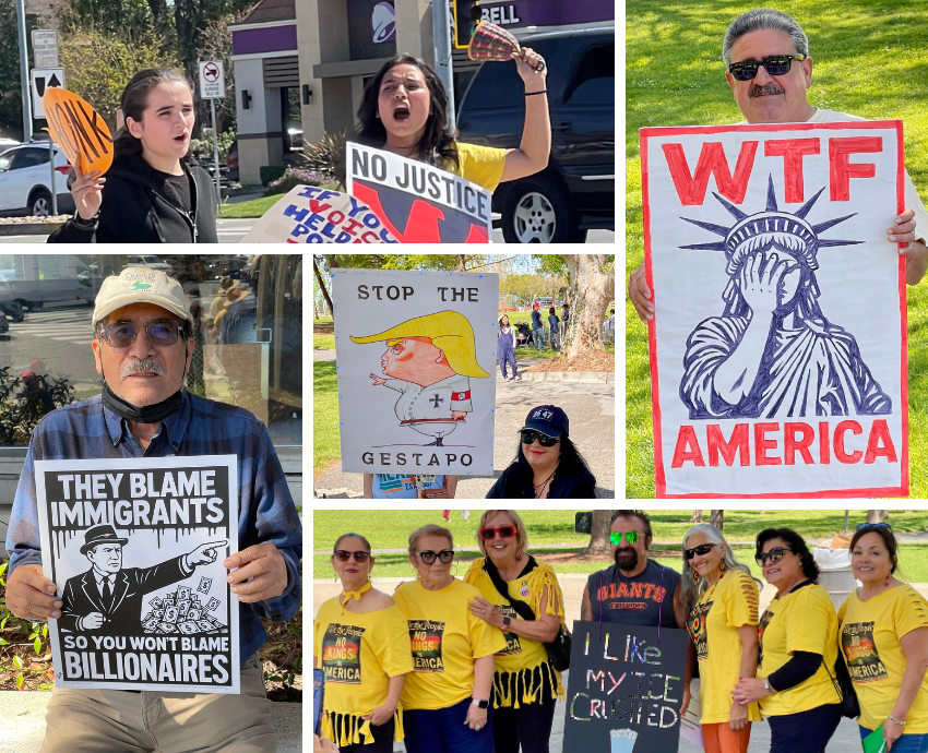 collage of people with home made signs