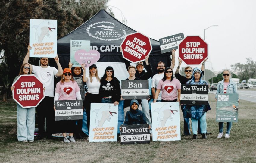 A Ban Dolphin Breeding protest