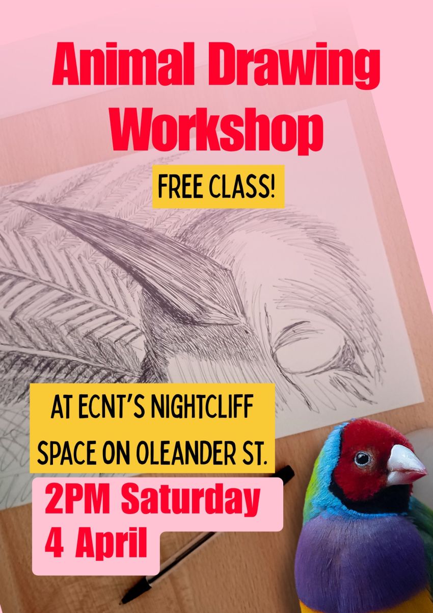 Artwork and poster for event Animal Drawing Workshop – Free class! 2pm 04/04/2026 ECNT Nightcliff Space, 4 Pavonia Pl, Nightcliff NT 0810