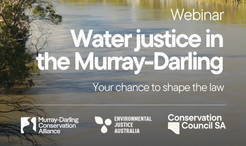 Artwork and graphic for event Water Justice in the Murray-Darling – Webinar and Q&A, 5pm-6pm AEST online with Zoom