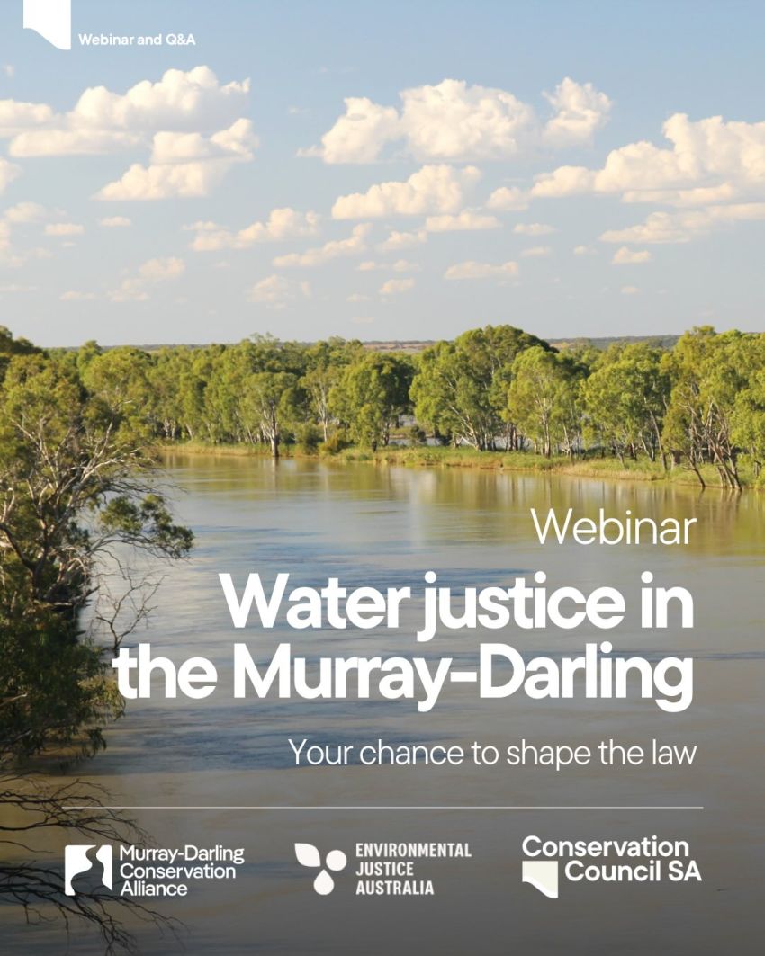 Artwork and poster for event Water Justice in the Murray-Darling – Webinar and Q&A, 5pm-6pm AEST online with Zoom
