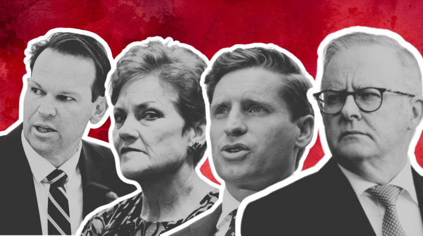 matt canavan, pauline hanson, andrew hastie and anthony albanese
