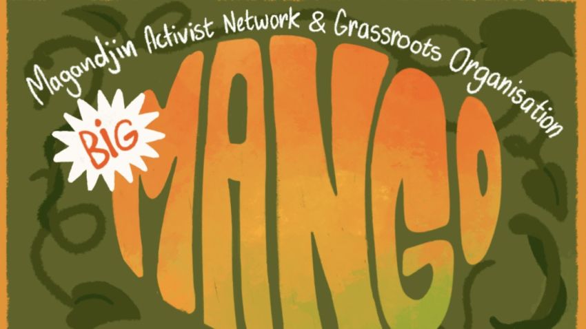 Artwork and graphic for event Big MANGO, 11am-3pm 02/05/2026 House Conspiracy, 42 Mollison St, West End QLD 4101