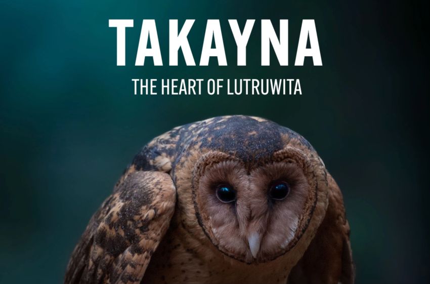 Artwork for documentary film Takayna - the Heart of Lutruwita 