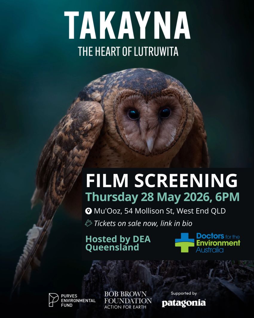 Artwork and poster for event Film screening: Taykayna – the Heart of Lutruwita, 6pm 28/05/2026 Mu’Ooz, 54 Mollison St, West End QLD 4101