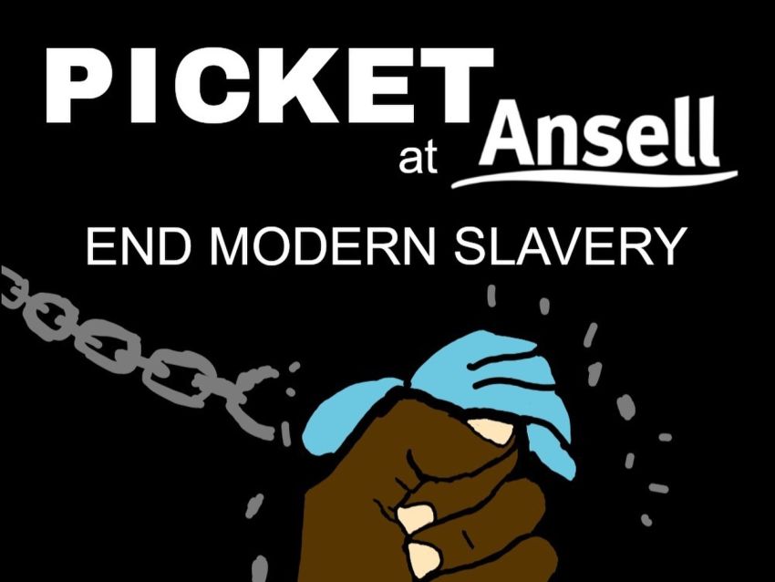 Picket Ansell artwork and graphic