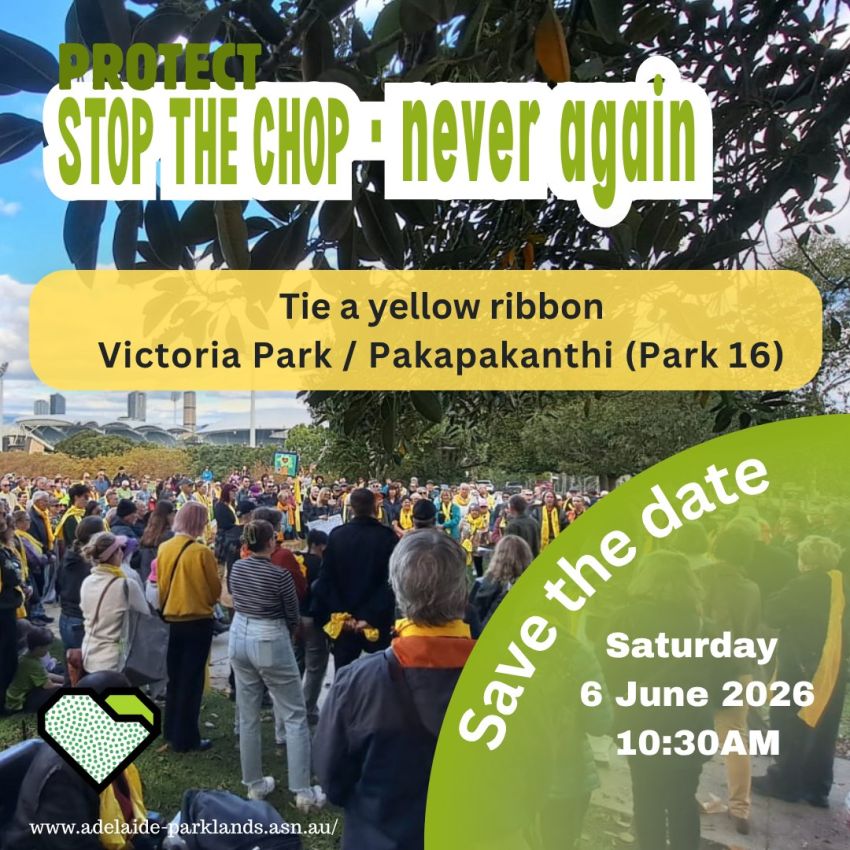 Artwork and graphic for event Stop the Chop – Tie a yellow ribbon, 10:30am 06/06/2026 Pakapakanthi, Wakefield Road, Adelaide SA 5000
