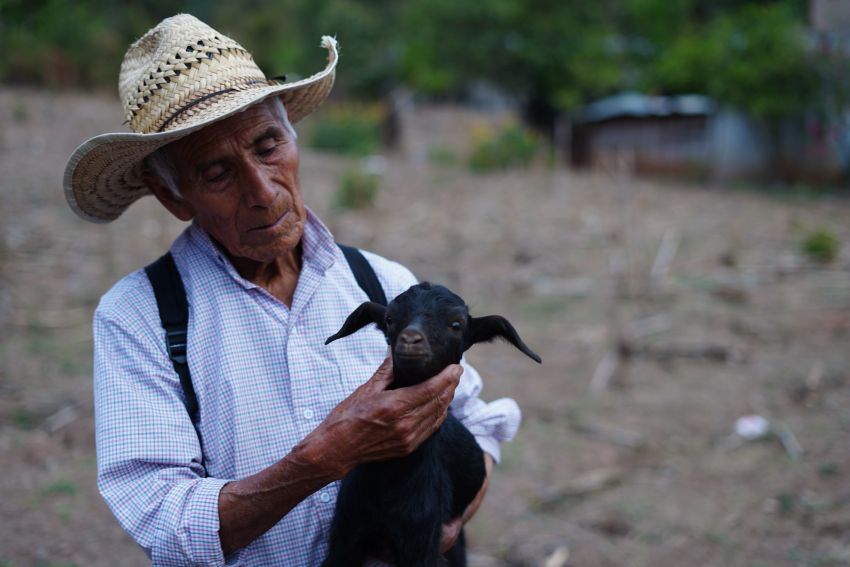 Man holds a baby goat