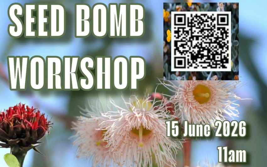 Artwork and main image for event listing "Seed Bomb Workshop at Bisallot Steel Picket" 11am 15/06/2026 Bisalloy Steel Picket, Bisalloy Steel 24 Resolution Drive Unanderra NSW 2526