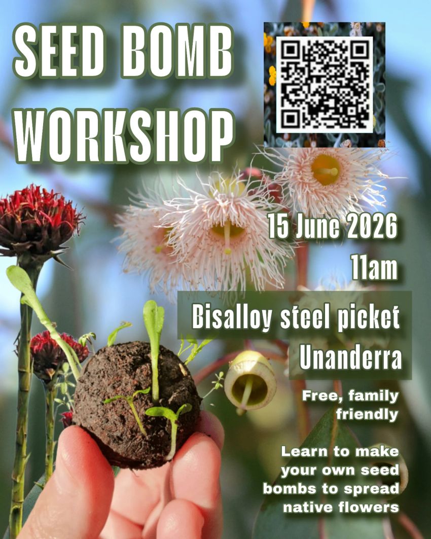 Artwork and poster for event listing "Seed Bomb Workshop at Bisallot Steel Picket" 11am 15/06/2026 Bisalloy Steel Picket, Bisalloy Steel 24 Resolution Drive Unanderra NSW 2526