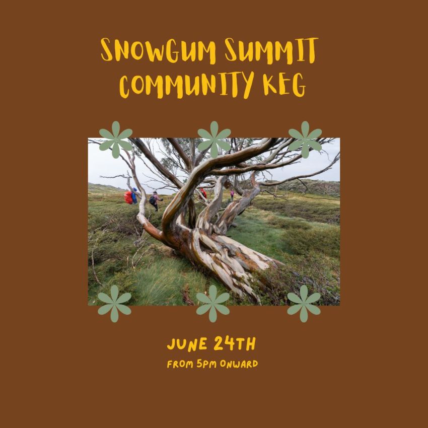 Artwork and main image for event listing "Snowgum Summit Community Keg" 5pm 24/06/2026 Bright Brewery, 121 Great Alpine Rd, Bright VIC 3741 