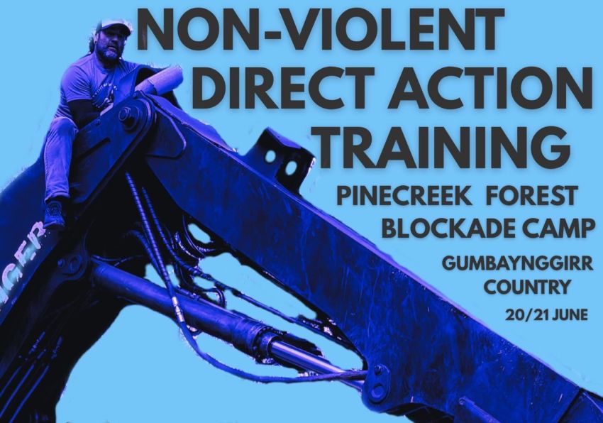 Artwork and main image for event listing "Non-Violent Direct Action Training: Pinecreek Forest Blockade Camp · Gumbaynggirr Country" 20/06/2026 and 21/06/2026 Seaview Rd & Tower Rd, Bongil Bongil National Park Valery NSW 2454