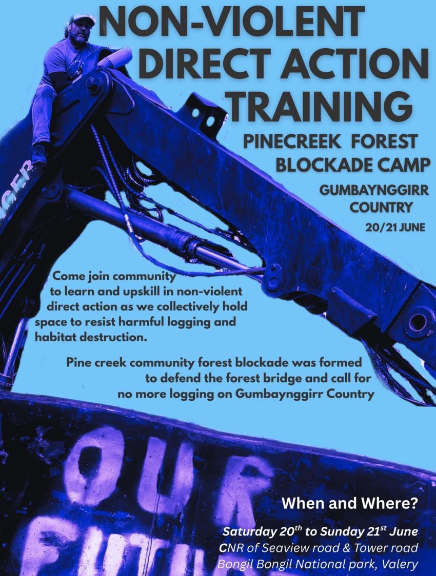 Artwork and poster for event "Pine Creek Blockade Upskill Weekend" 20/06/2026 and 21/06/2026 Seaview Rd & Tower Rd, Bongil Bongil National Park, Valery NSW 2454