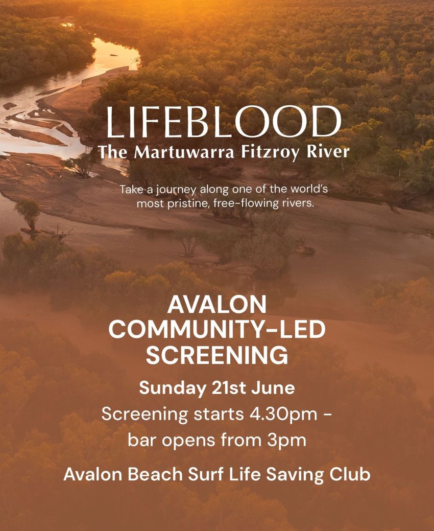 Artwork and poster for event "Community-led film screening: Lifebood" 4:30pm 21/06/2026 (bar opens 3pm) Avalon Beach Surf Life Saving Club, 558A Barrenjoey Rd, Avalon Beach NSW 2107