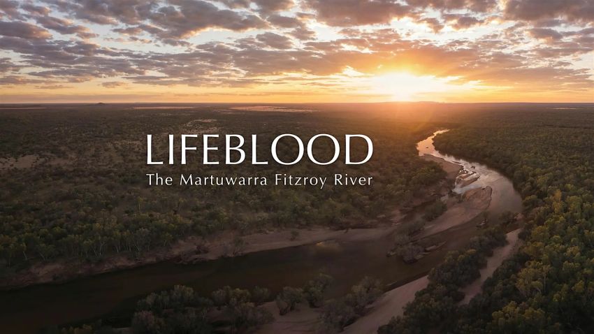 Promotion banner for documenatry film LIFEBLOOD