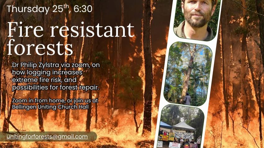 Artwork and image for event "Fire Resistant Forests" 6:30pm-8pm 25/06/2026 online with Zoom, and also at Bellingen Uniting Church Hall, Hyde St, Bellingen NSW 2454