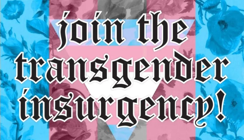 Artwork and image for event "Join the transgender insurgency!" 11:30am 04/07/2026 Parliament of Victoria, Spring Street, East Melbourne VIC 3002