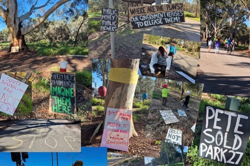 Photo collage of efforts to protect John E Brown Park