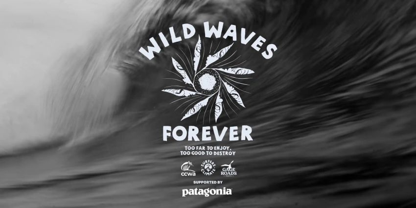 Wild Waves Forever Film Tour