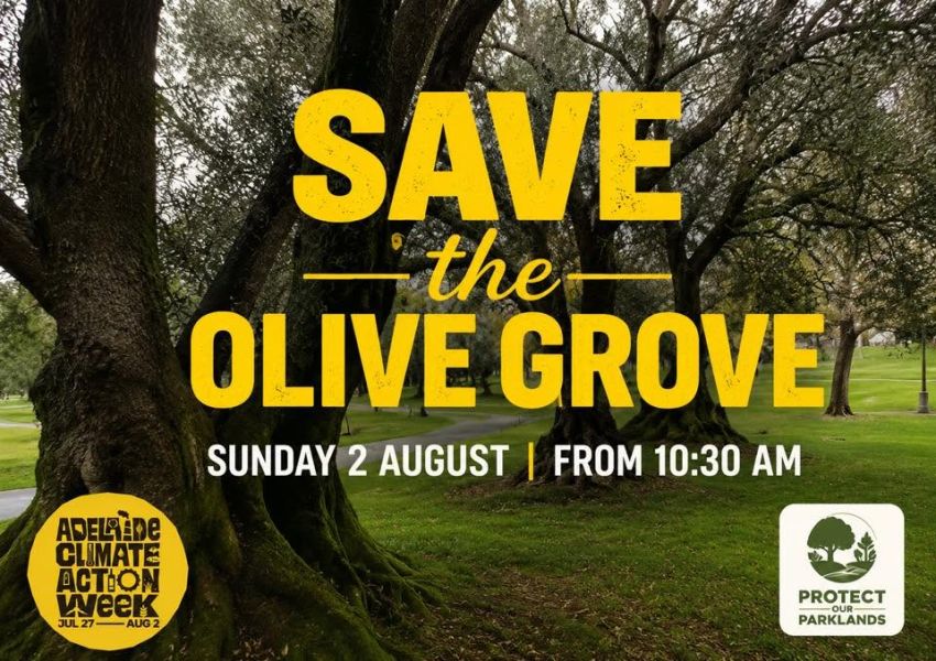 Artwork and image for event "Hands Around the Olive Grove" 02/08/2026 10:30am-3pm Pakapakanthi / Victoria Park (Park 16), Wakefield Rd, Tarntanya SA 5000