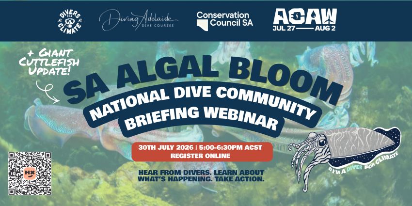 Artwork and image for event "National Dive Briefing: SA Algal Bloom and Giant Cuttlefish Update" 5pm-6:30pm 30/07/2026 online. RSVP for this event on the Adelaide Climate Action Week website my.acaw.org.au/event/acaw-national-dive-briefing-algal-bloom-community-forum
