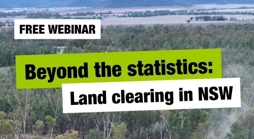 Artwork and image for event "Webinar: Beyond the statistics – Land clearing in NSW" 1pm-2pm AEST online, register with Zoom us02web.zoom.us/webinar/register/WN_9EwUAfCIQ_uLuMDCxcKYBA#/registration