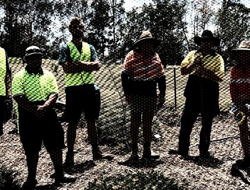 work for the dole