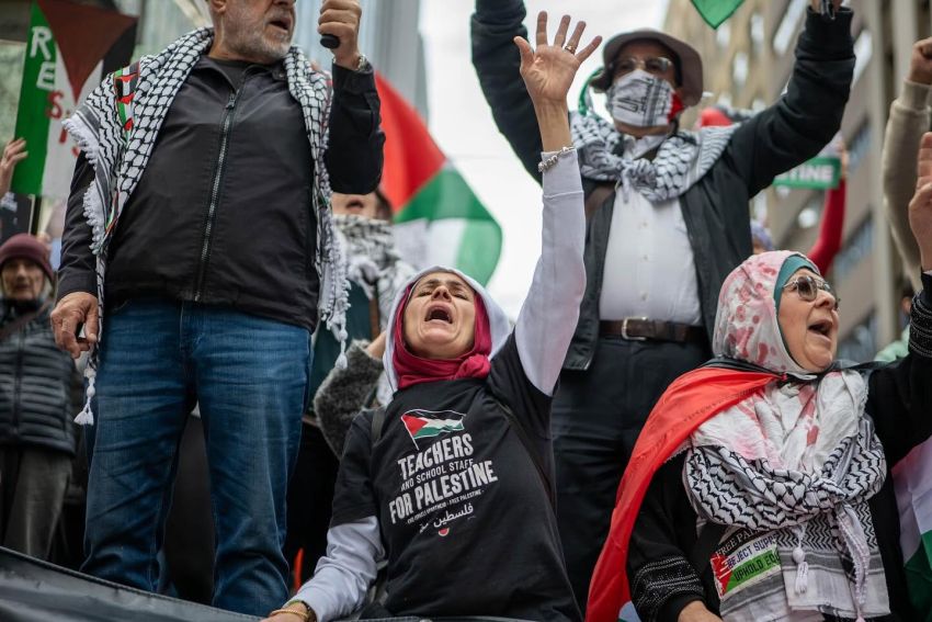 teachers and school staff for palestine