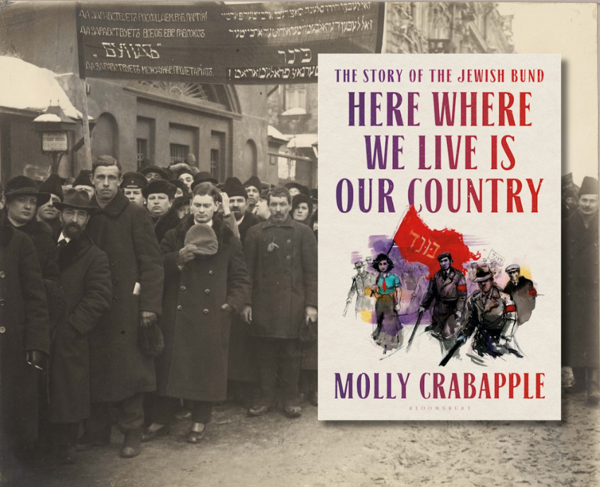 historical protest and book cover