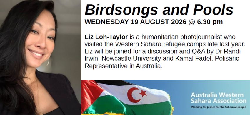Birdsongs & pools