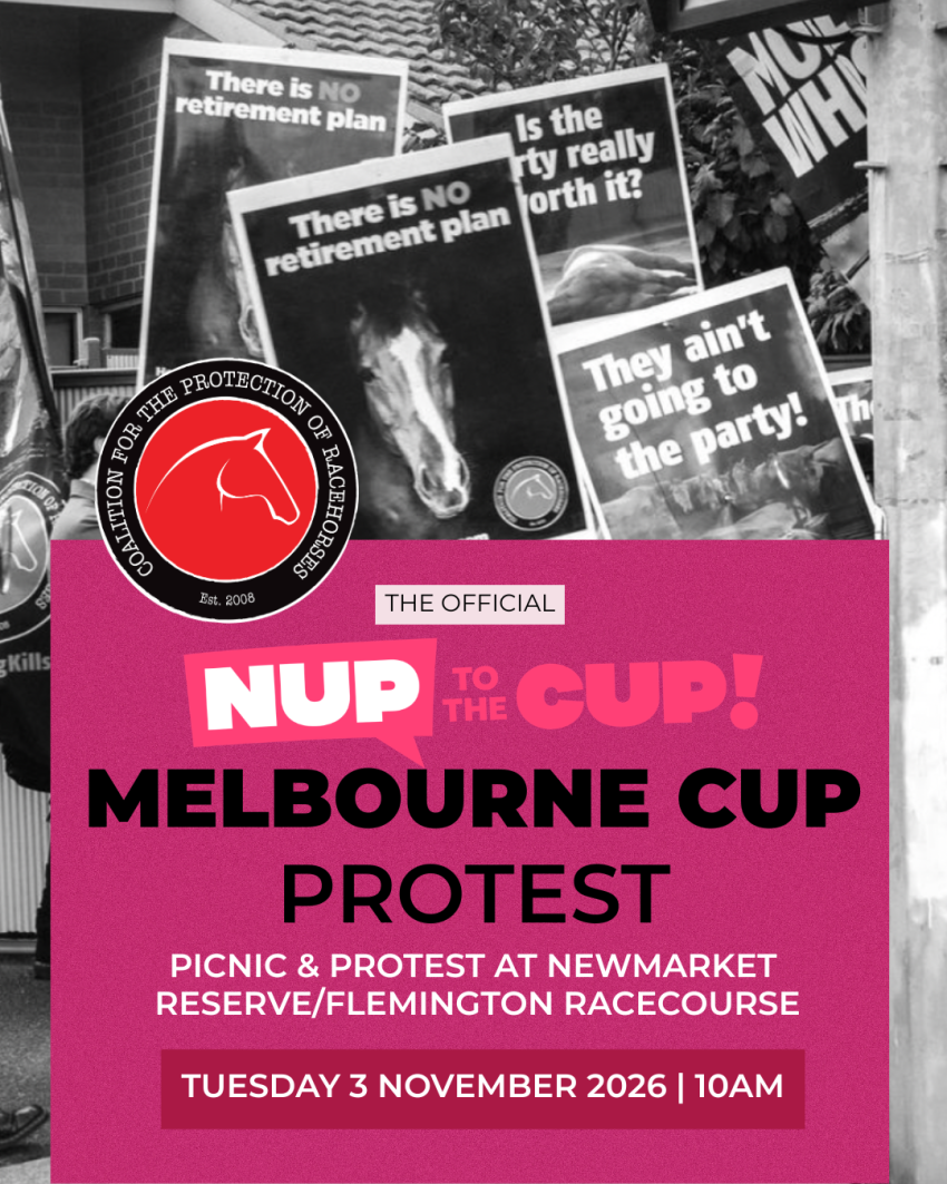 Artwork and poster for event "NUP to the Melbourne Cup Picnic and Protest 2026" 10am 03/11/2026 Newmarket Reserve, 407 Racecourse Rd, Kensington VIC 3031